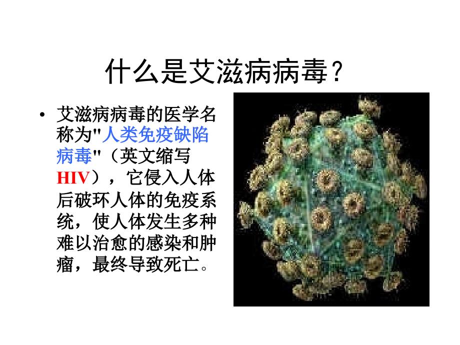 防艾主题班会_第3页