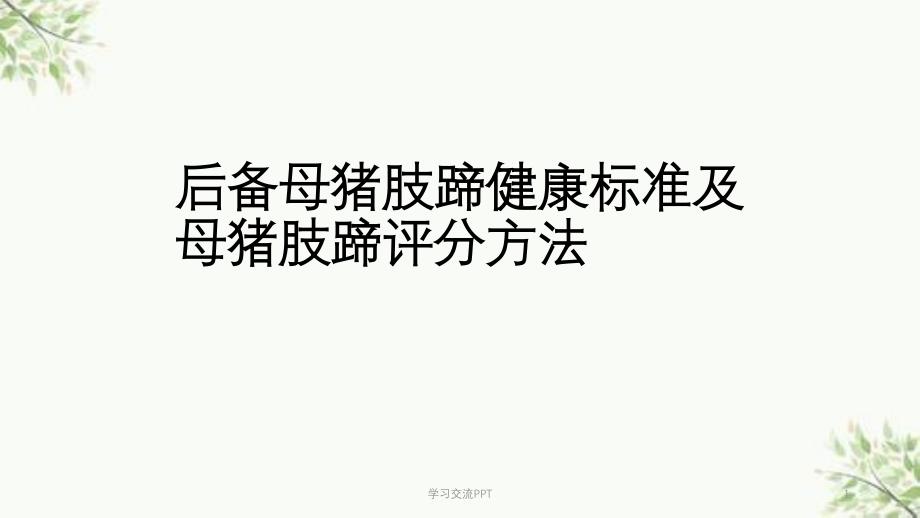 后备母猪肢蹄健康标准及母猪肢蹄评分方法医学课件_第1页