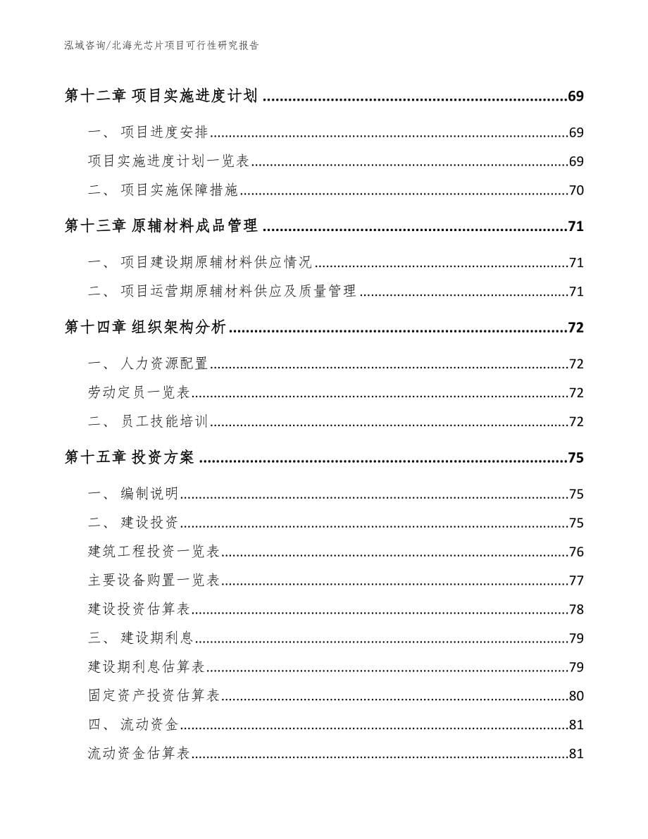 北海光芯片项目可行性研究报告_参考范文_第5页