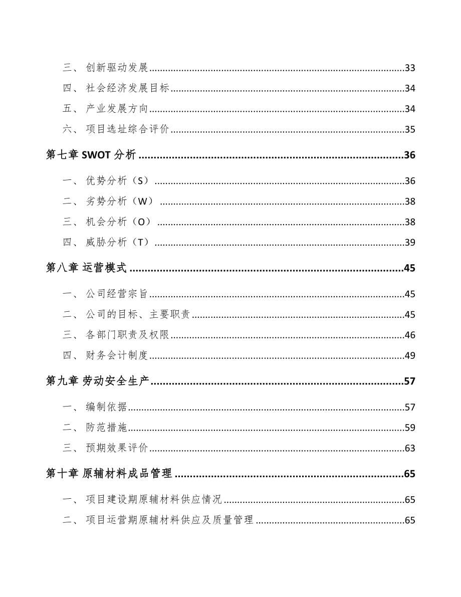 景洪行车记录仪项目可行性研究报告_第5页