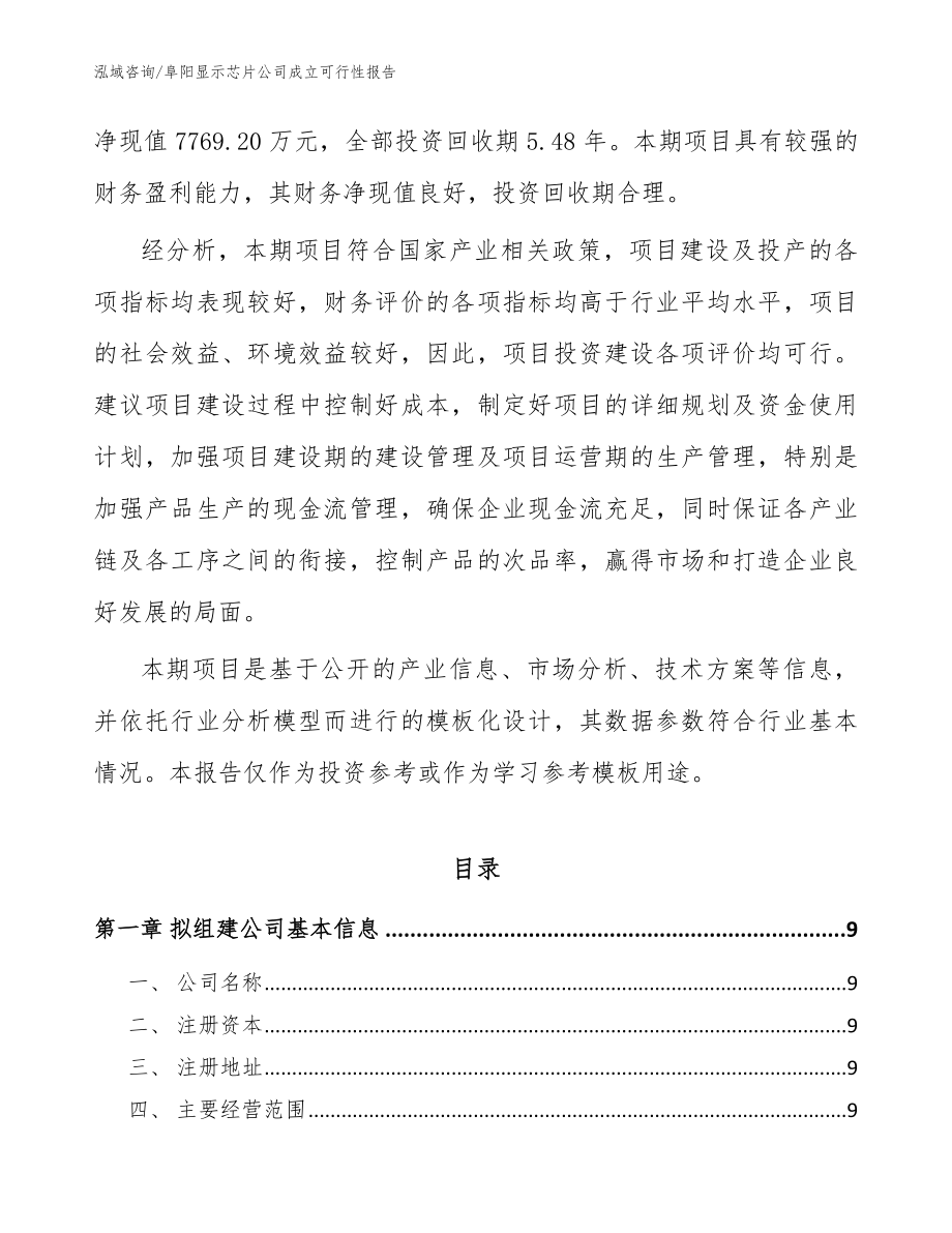 阜阳显示芯片公司成立可行性报告模板_第3页
