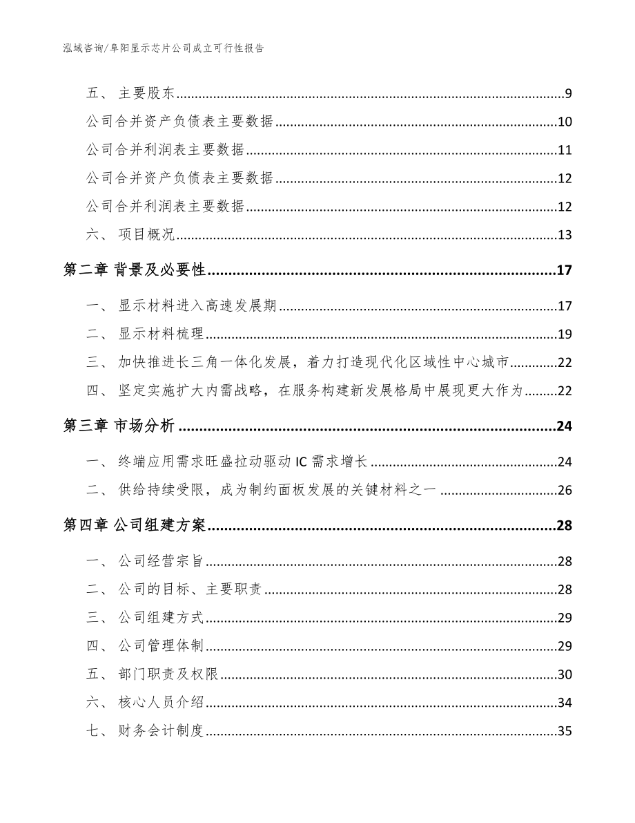 阜阳显示芯片公司成立可行性报告模板_第4页