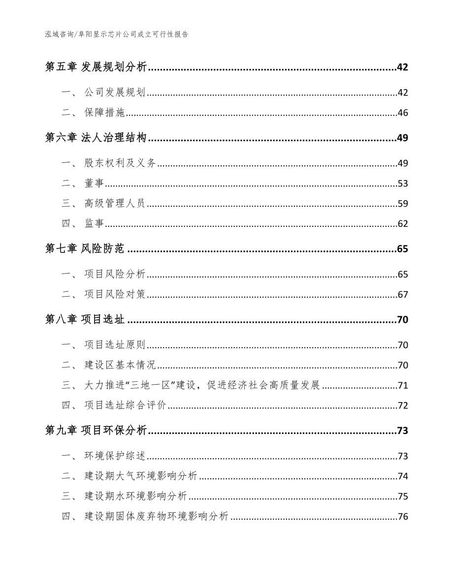 阜阳显示芯片公司成立可行性报告模板_第5页