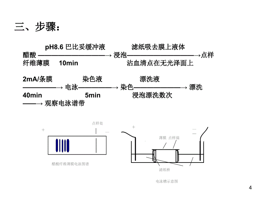 生物化学实验食品演示PPT_第4页