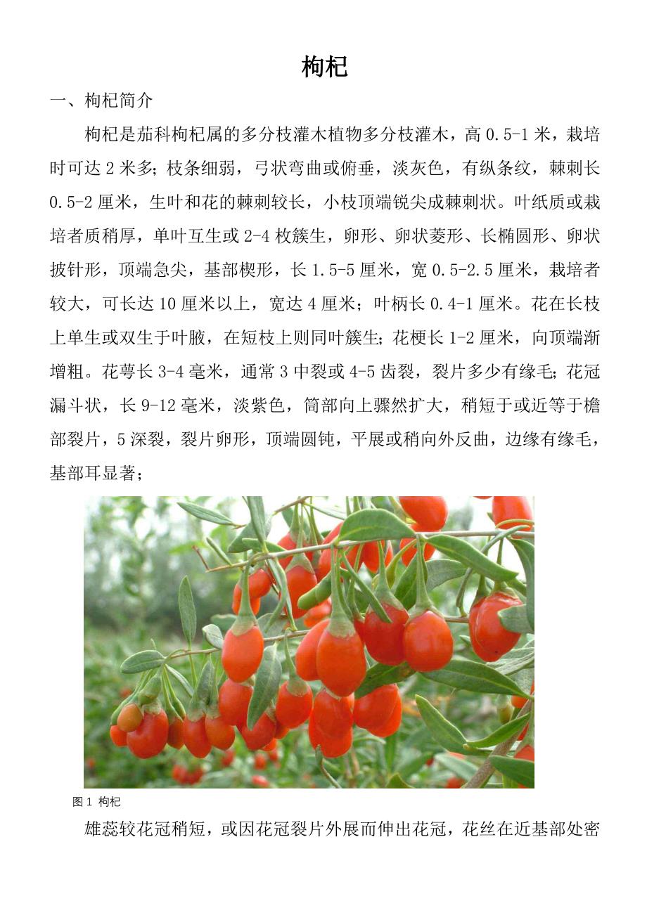 沙生药材(定稿).doc_第1页