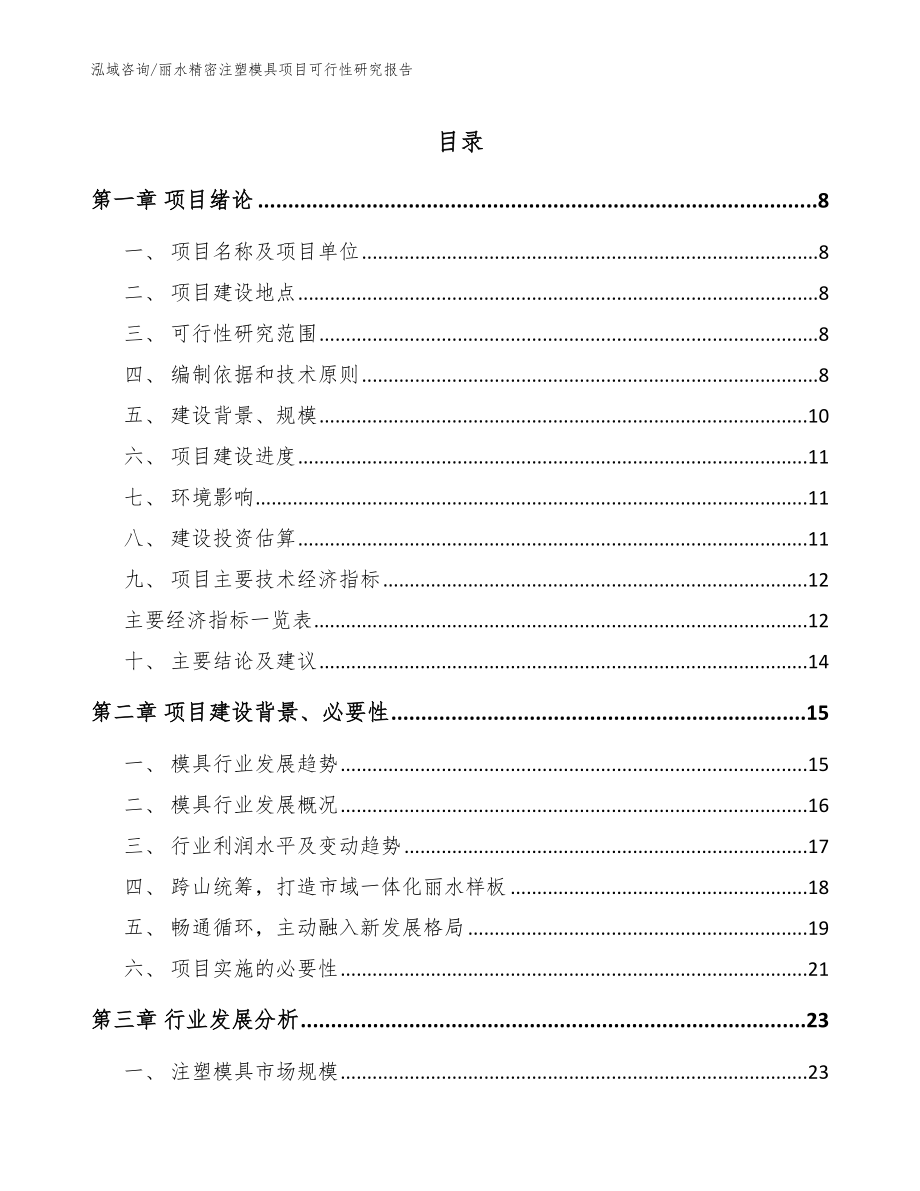 丽水精密注塑模具项目可行性研究报告【模板】_第1页