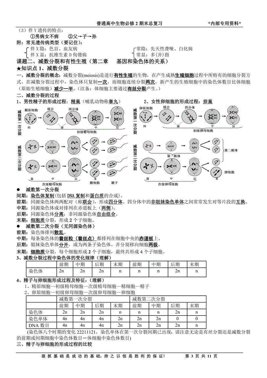 (精品)生物学业水平必修二复习提纲_第3页