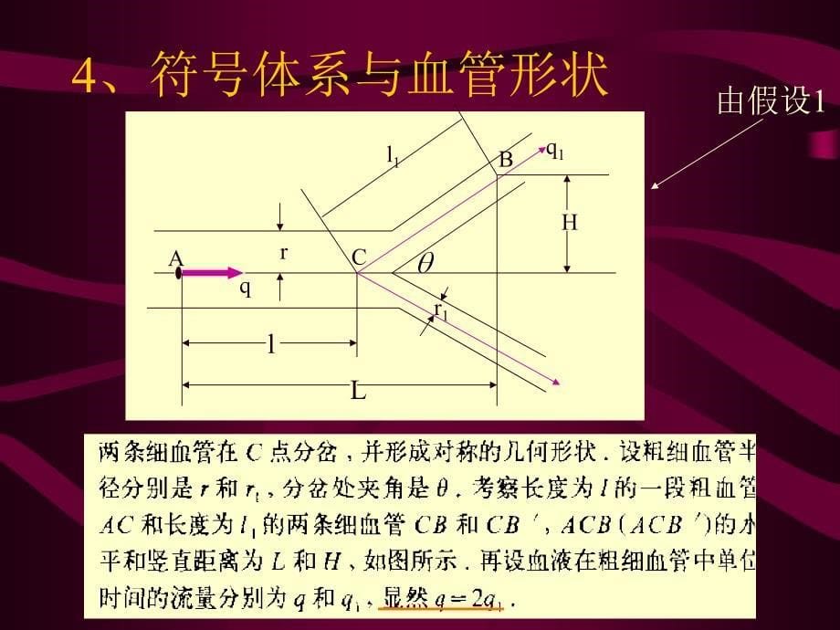 lesson5优化模型1_第5页