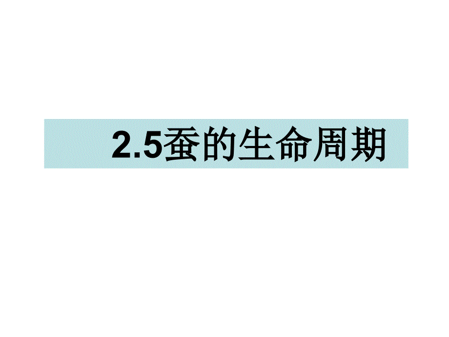 三年级下册科学课件-2.5蚕的生命周期 教科版_第1页