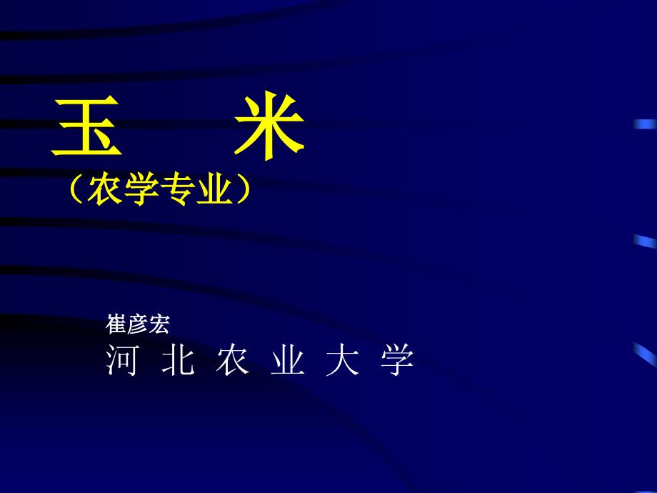 玉米农学专业_第1页
