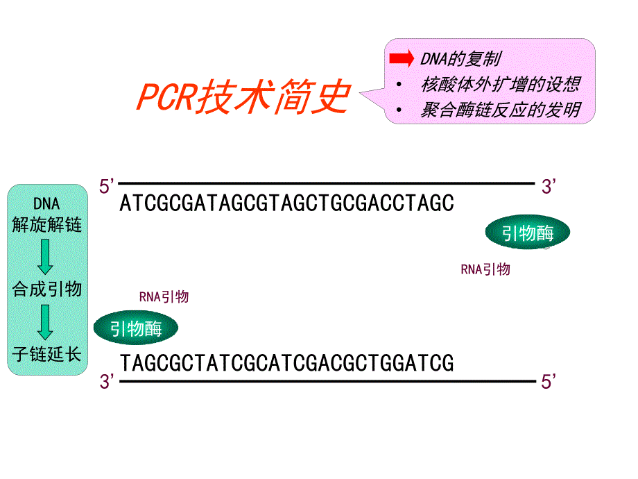 《cr技术及应用》PPT课件_第4页