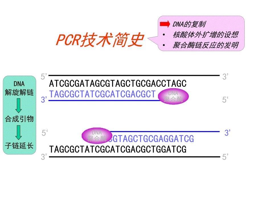 《cr技术及应用》PPT课件_第5页