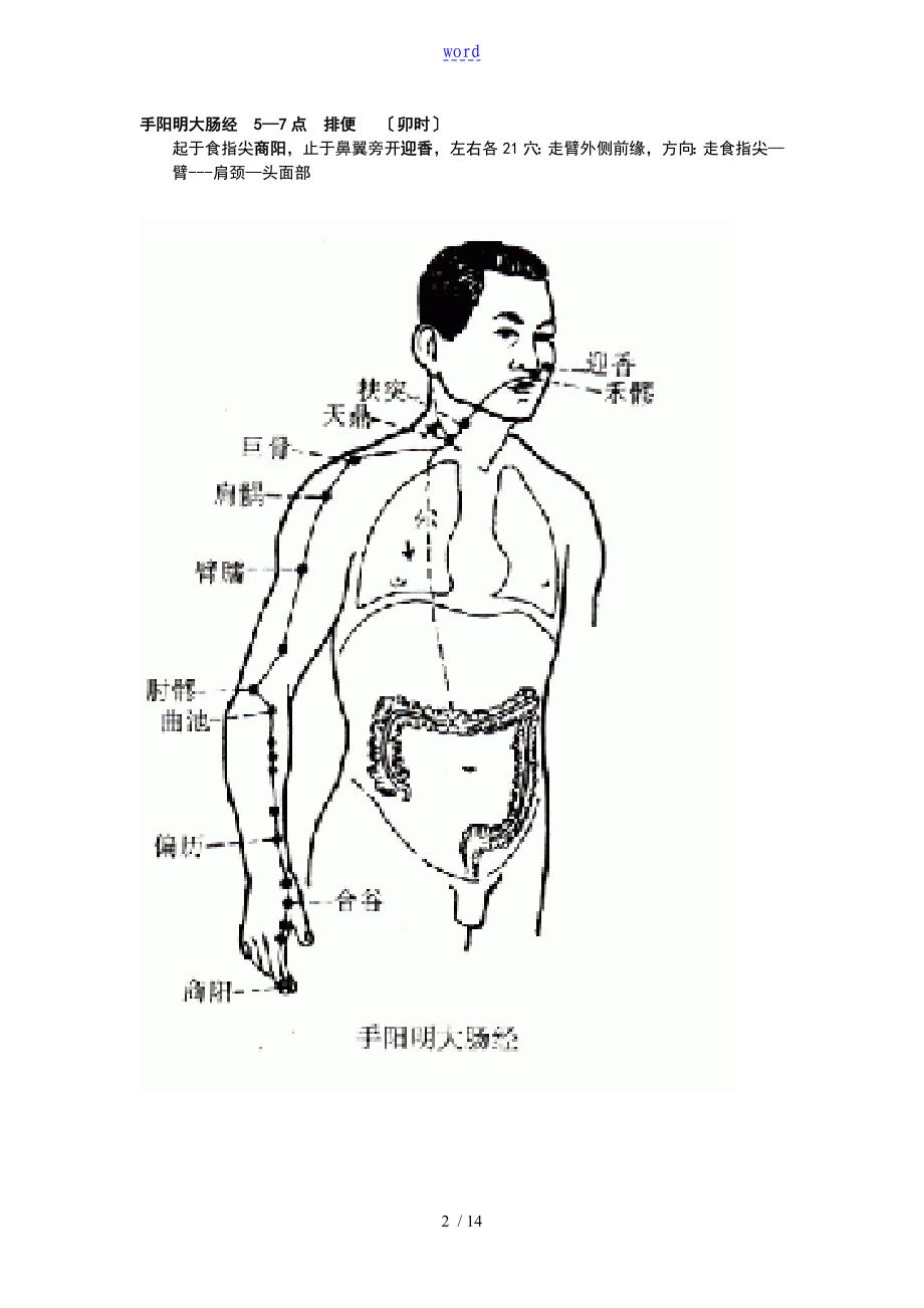 经络十二经络人体图_第2页