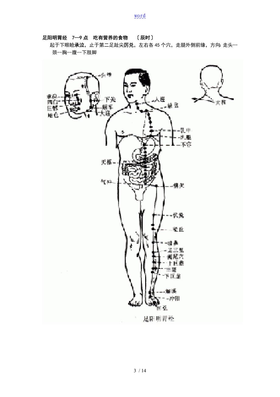 经络十二经络人体图_第3页