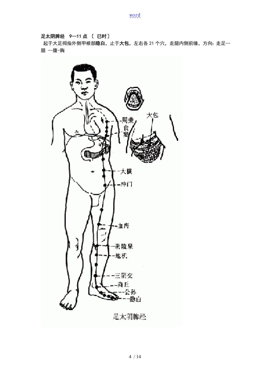 经络十二经络人体图_第4页