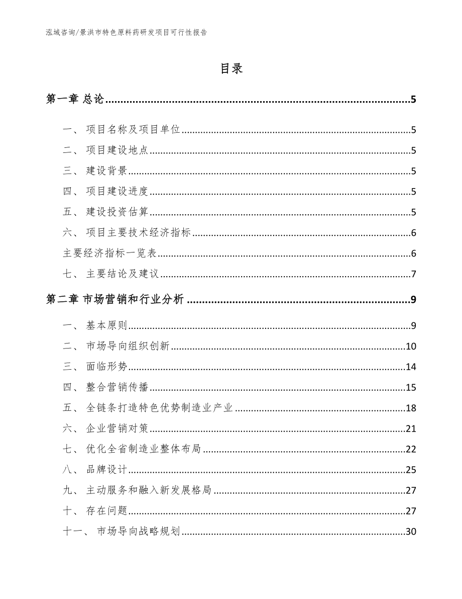 景洪市特色原料药研发项目可行性报告（范文参考）_第1页