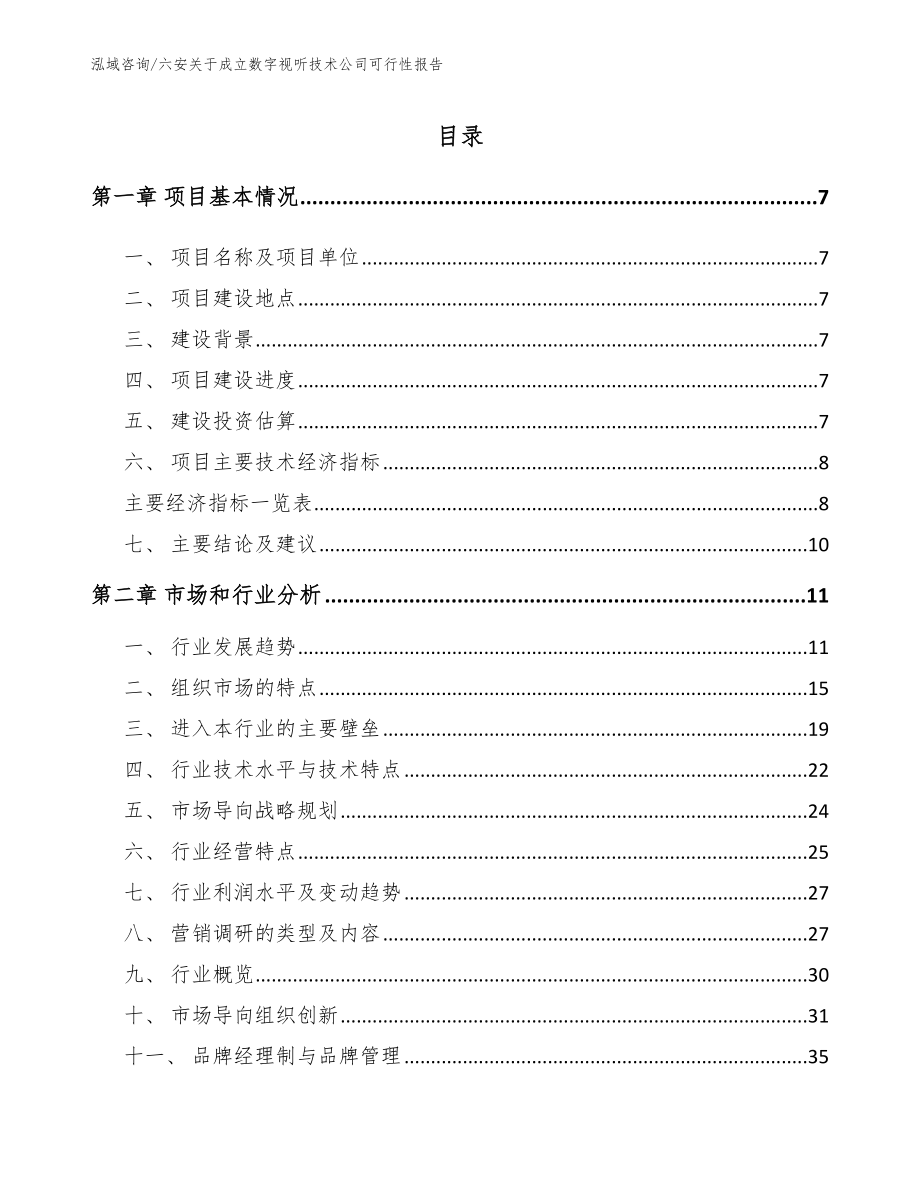 六安关于成立数字视听技术公司可行性报告_第1页