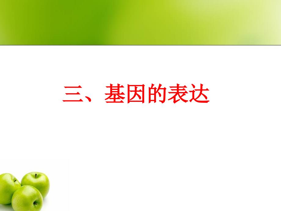 《基因的表达讲》PPT课件.ppt_第1页