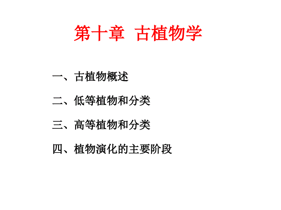 《植物化石》PPT课件.ppt_第1页