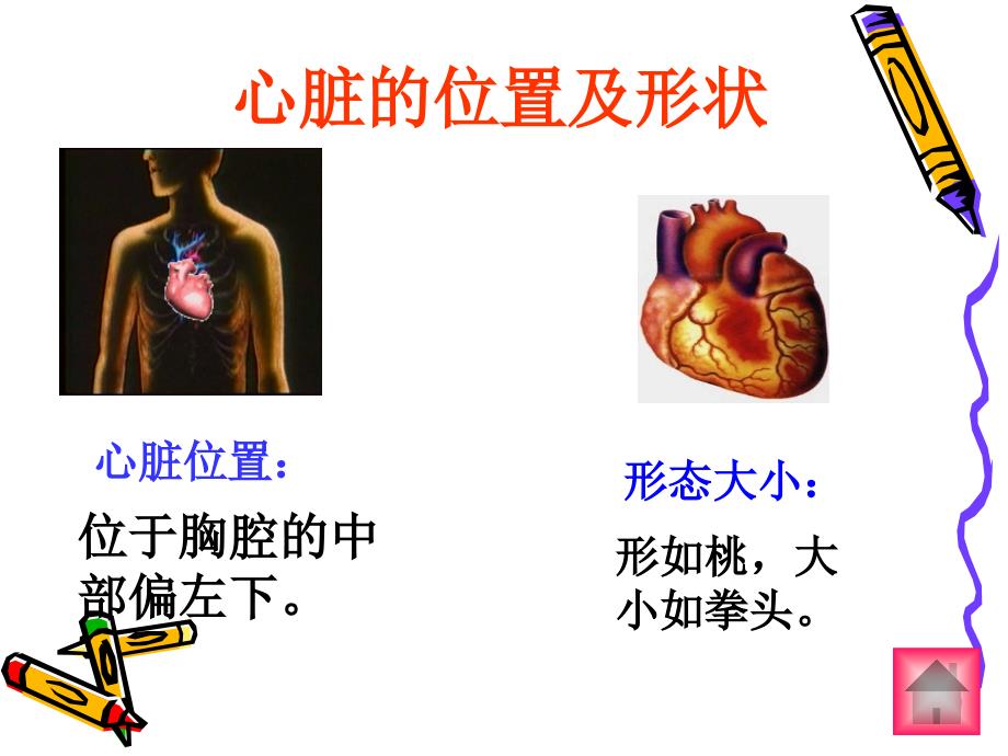 44运动起来会怎样二_第4页