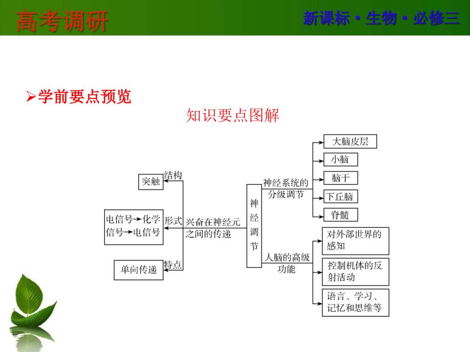 动物和人体生命活动的调节课件_第2页