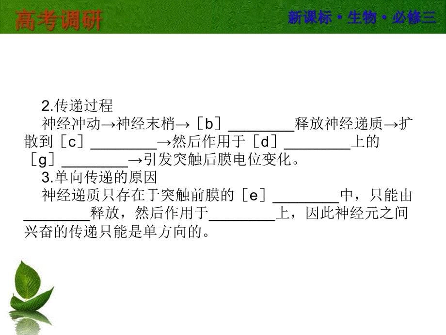 动物和人体生命活动的调节课件_第5页