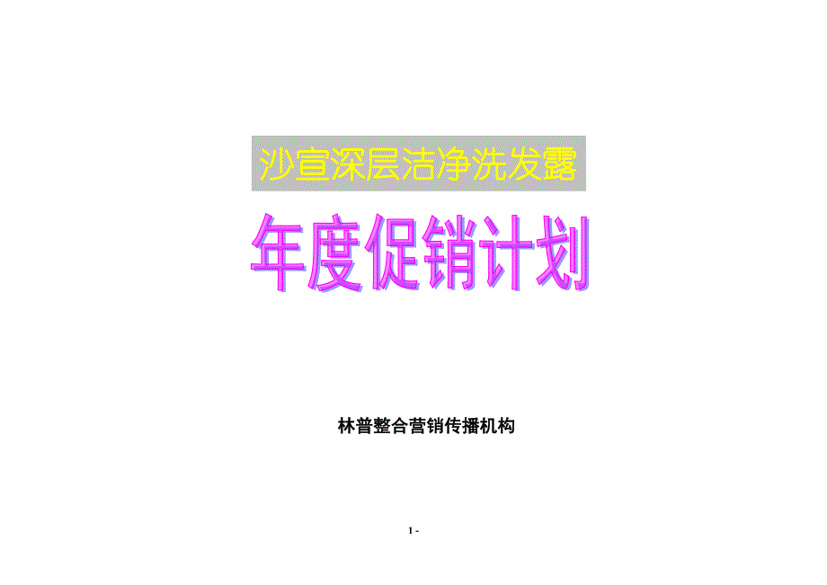 宝洁沙宣产品年度促销计划.doc_第1页