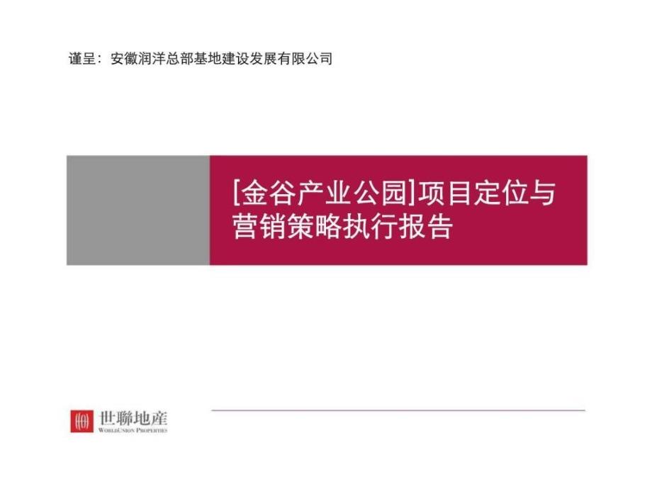 合肥市金谷产业公园项目定位与营销策略执行报告_第1页