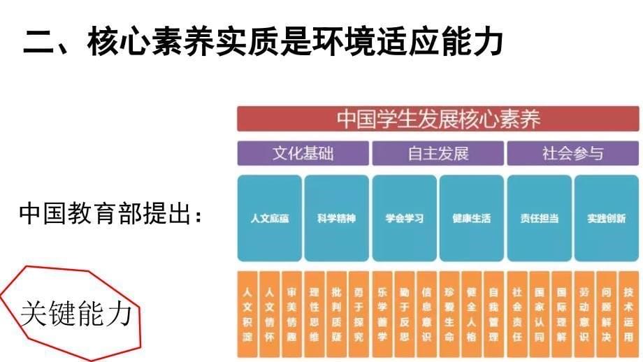 核心素养与学习力校本培训_第5页