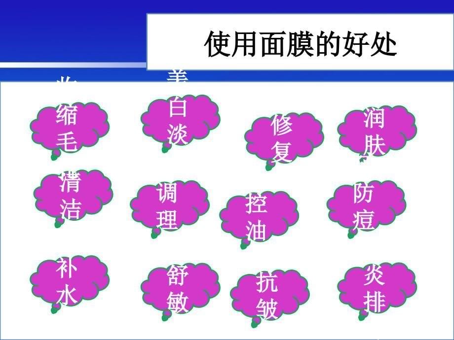 面膜培训范例PPT课件_第5页