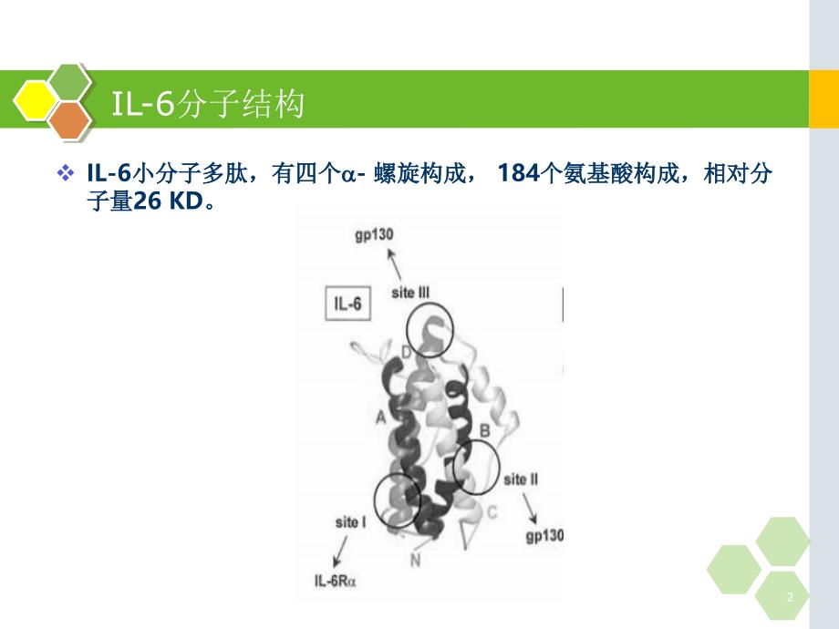 白细胞介素-6的在儿科应用的临床意义_第2页