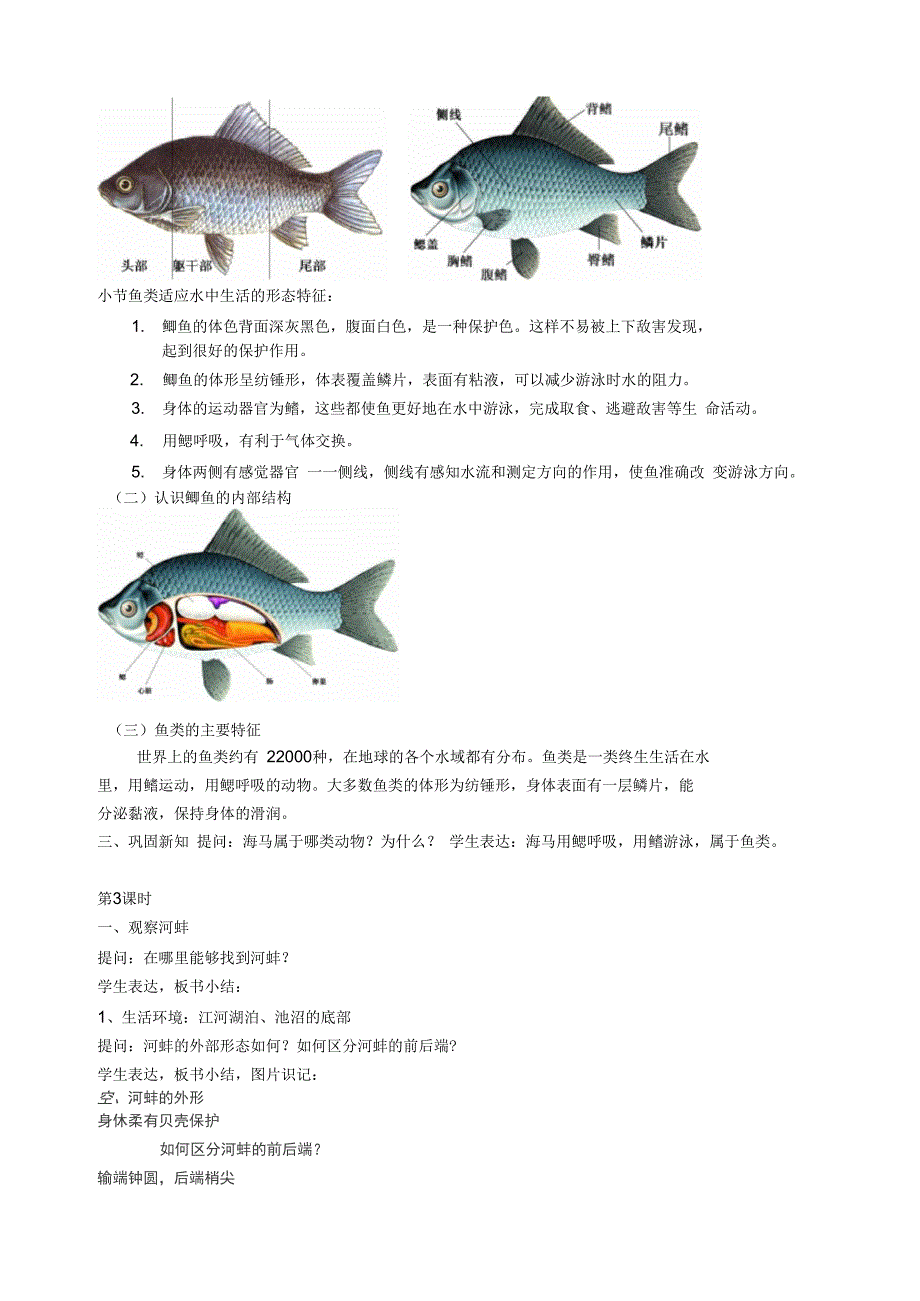 4101水中的动物_第3页