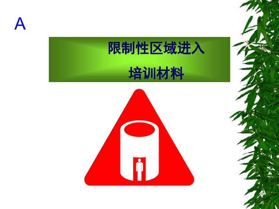 限制性区域进入培训_第1页