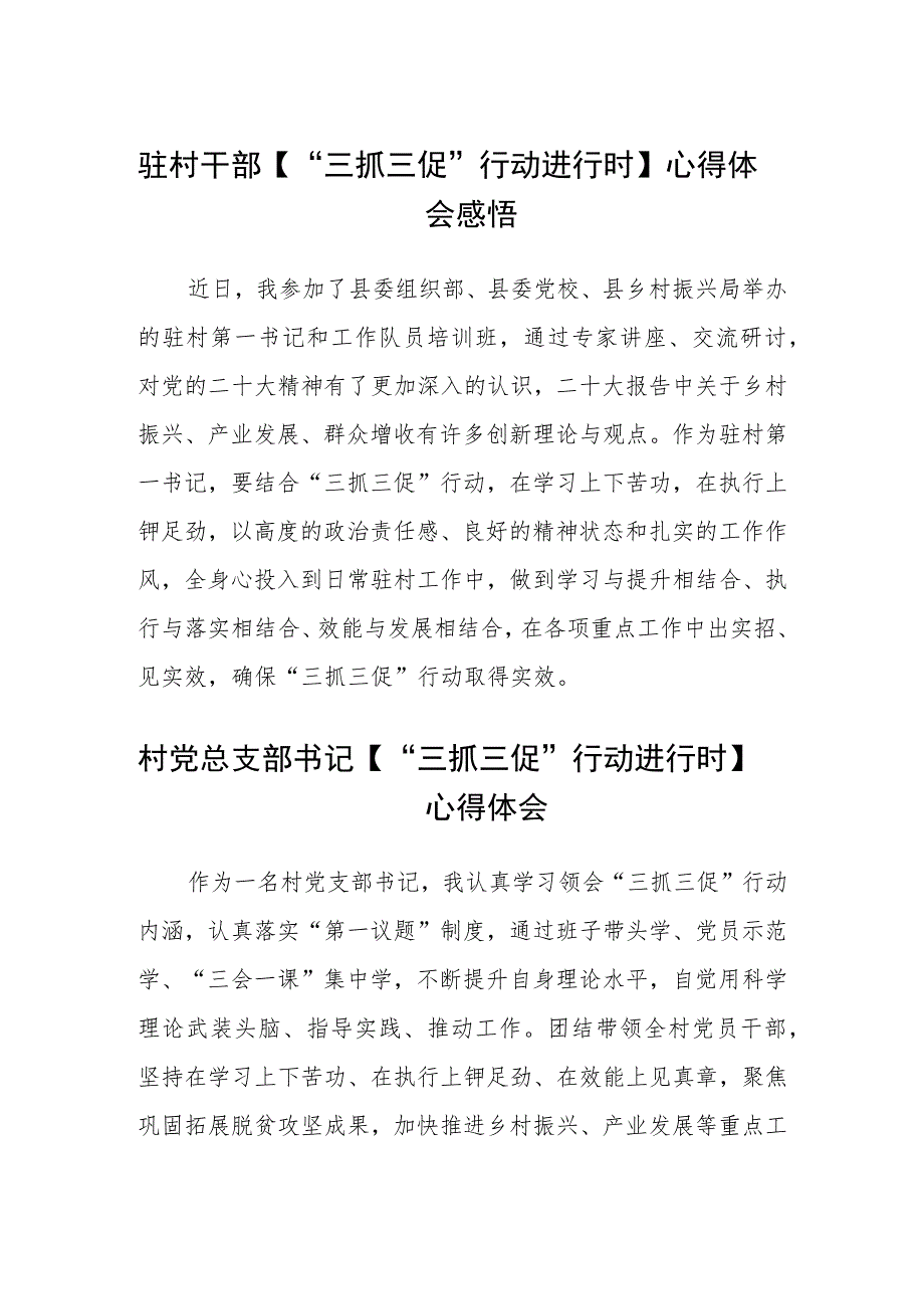 驻村干部【“三抓三促”行动进行时】心得体会感悟范文(3篇)_第1页