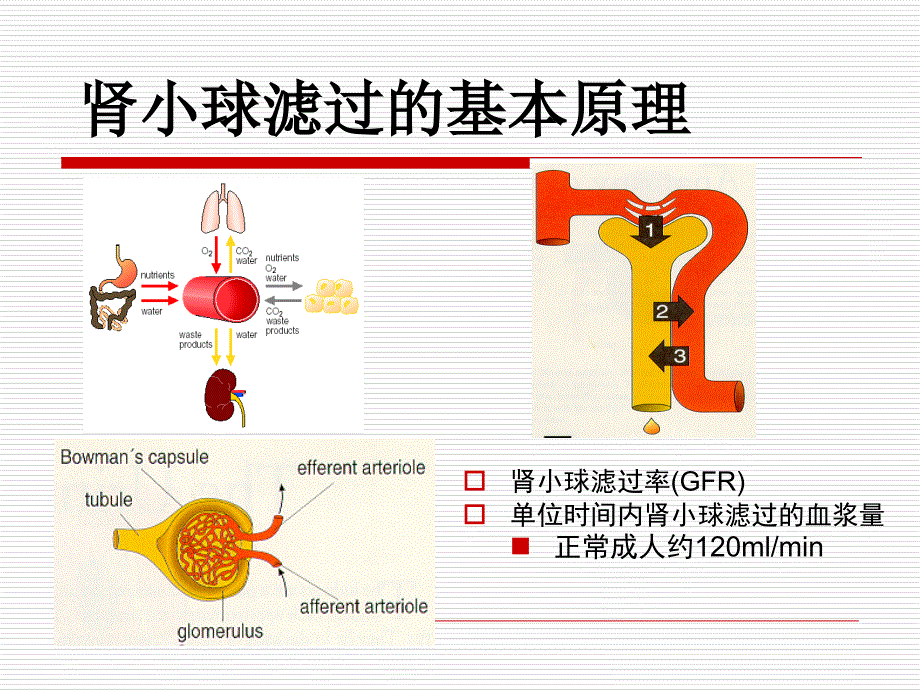 CVVH滤过率和滤过分数_第3页