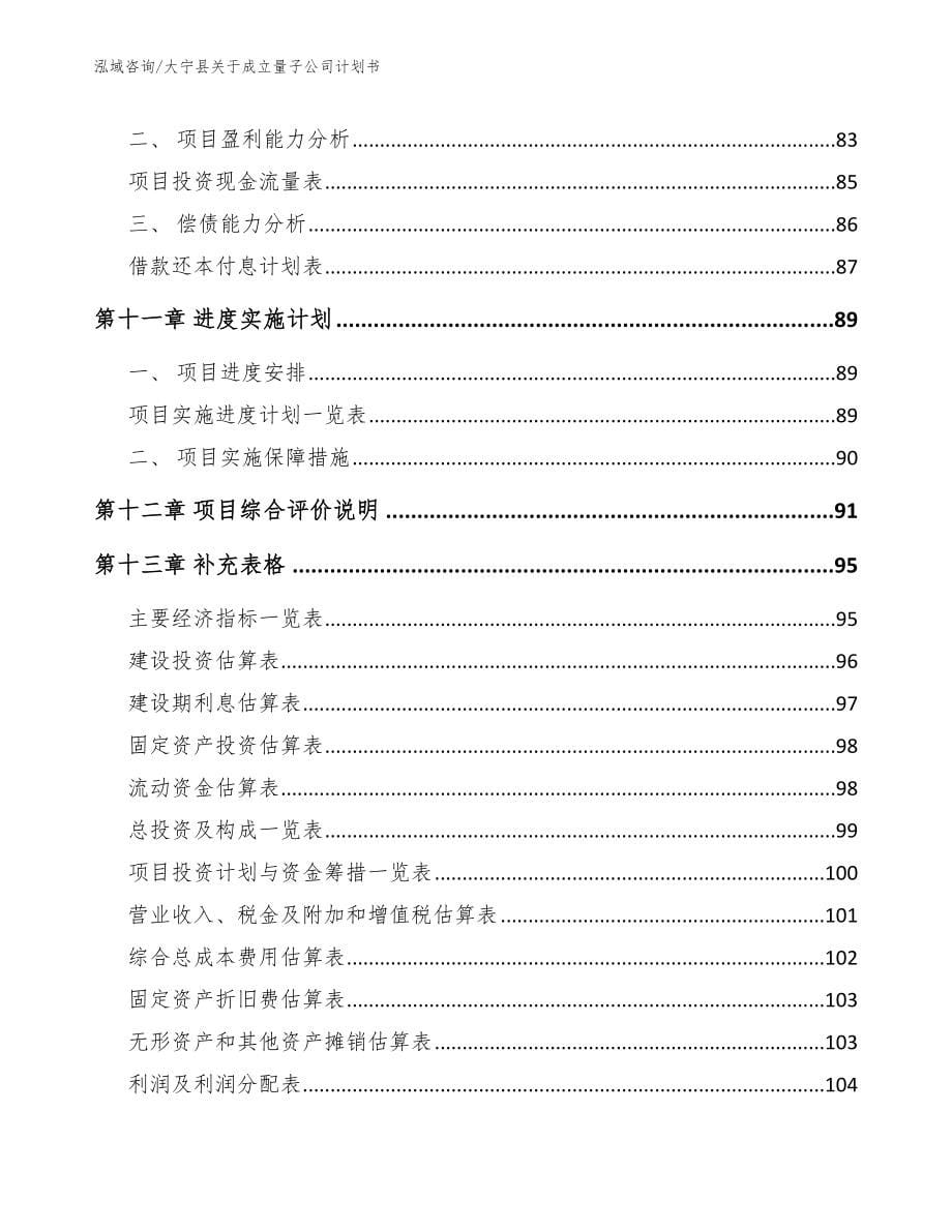 大宁县关于成立量子公司计划书（模板参考）_第5页