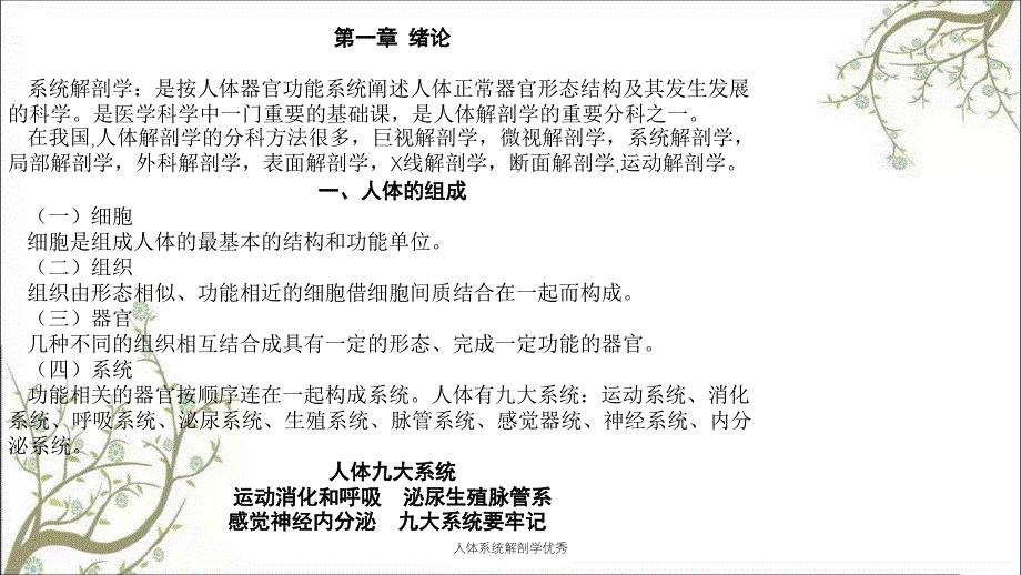 人体系统解剖学优秀_第3页