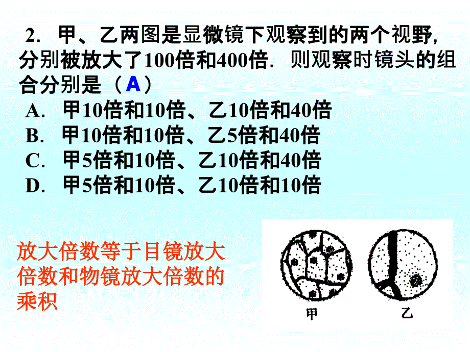 1观察多种多样的生物和细胞文档资料_第3页