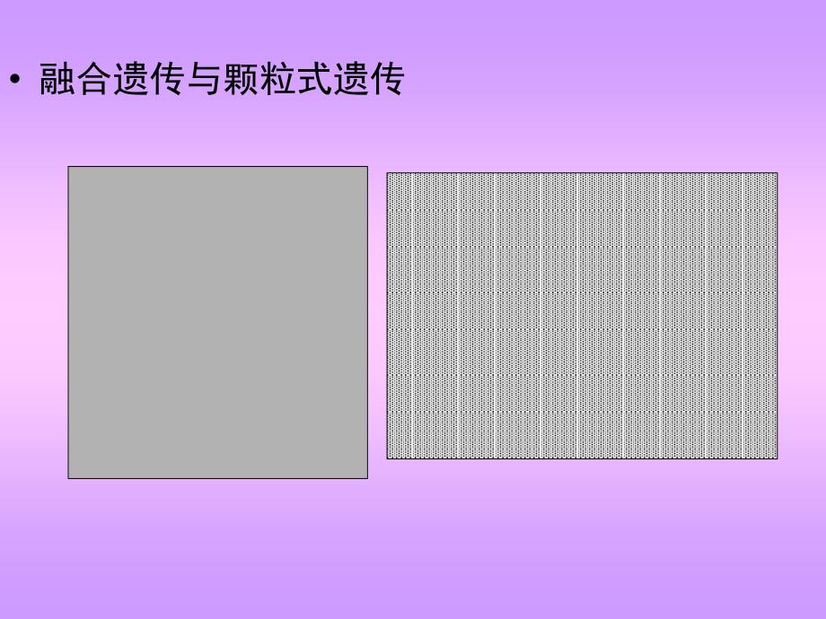 五章节讨论章节_第3页