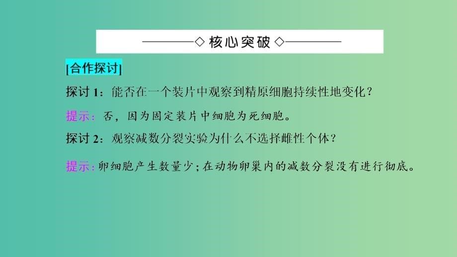 高中生物 第2章 基因和染色体的关系 第1节 减数分裂和受精作用（Ⅱ）课件 新人教版必修2.ppt_第5页