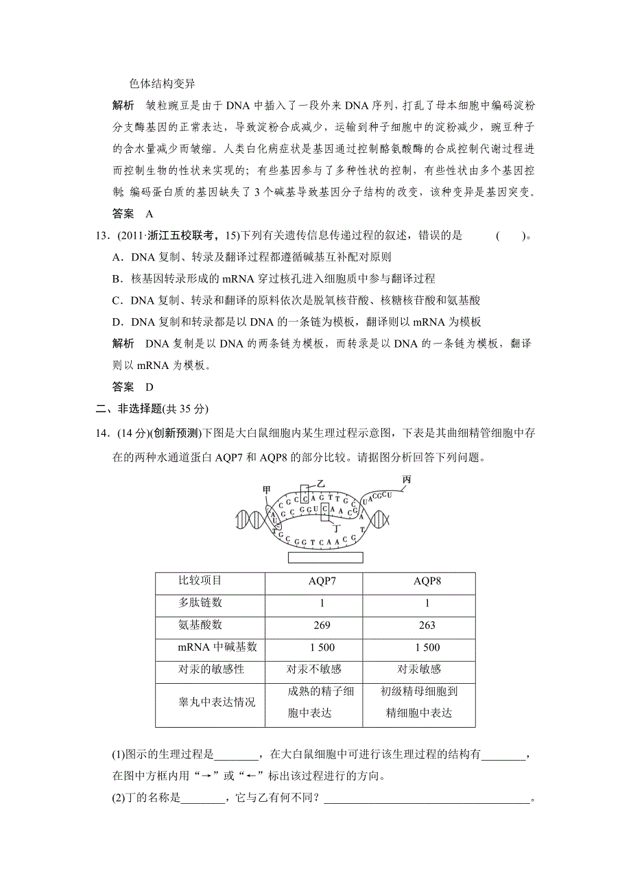 1-4-1第1讲遗传的分子基础.doc_第5页