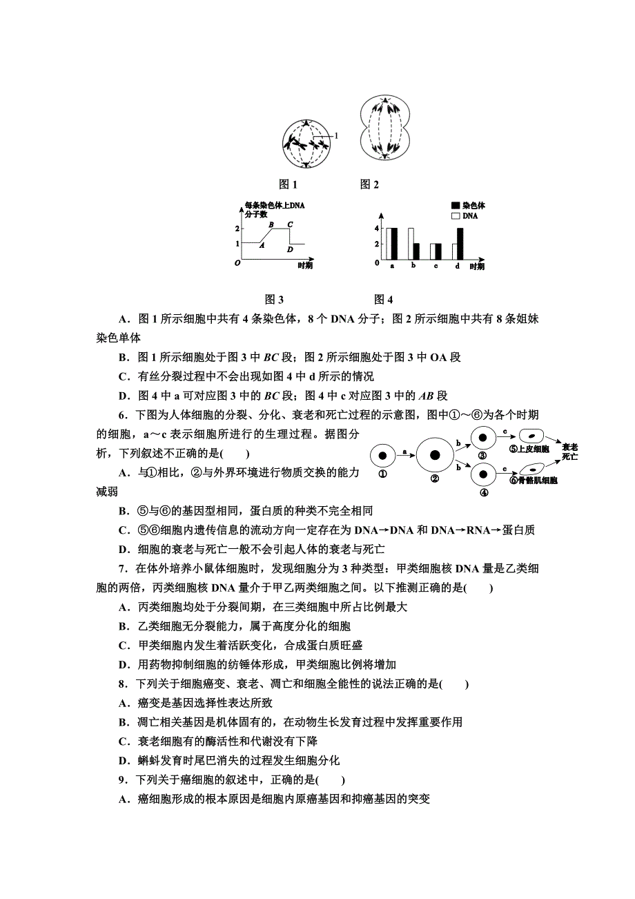 2022年高三上学期第二次月考生物试题A卷 含答案_第2页