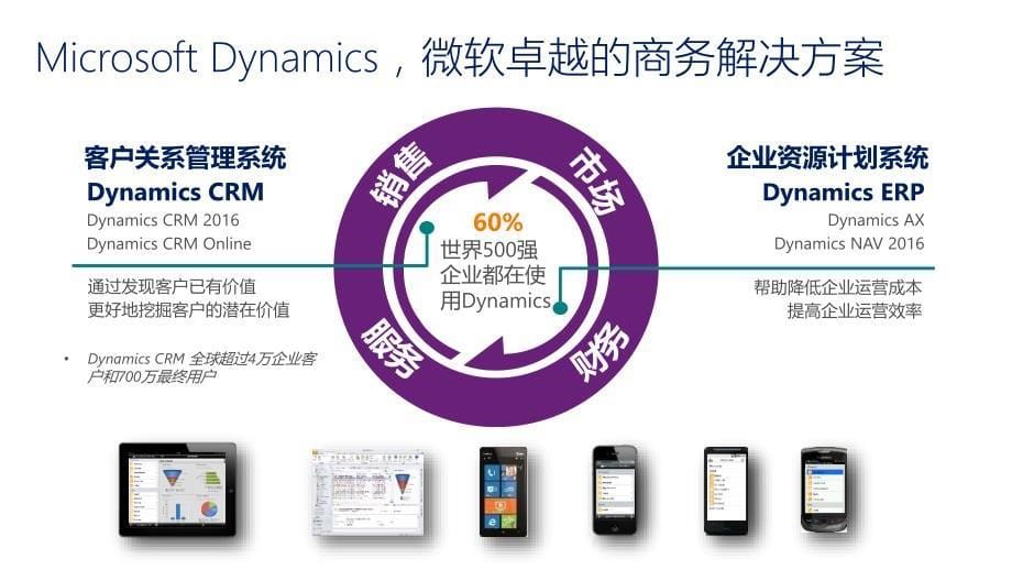 Dynamics CRM金融服务行业解决方案_第5页