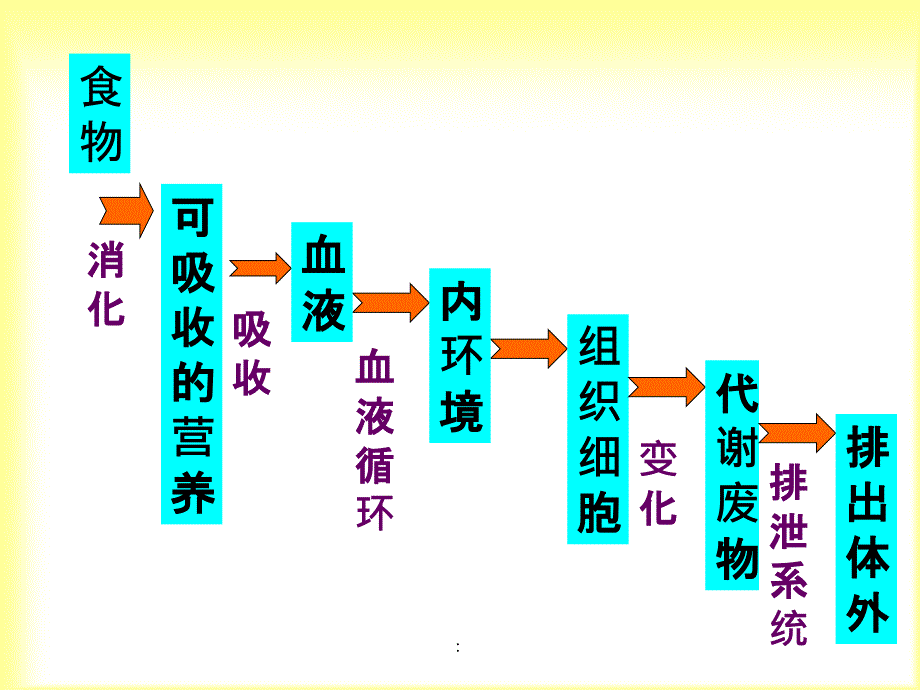 人体动物获取的食物中包含的营养物质有ppt课件_第4页