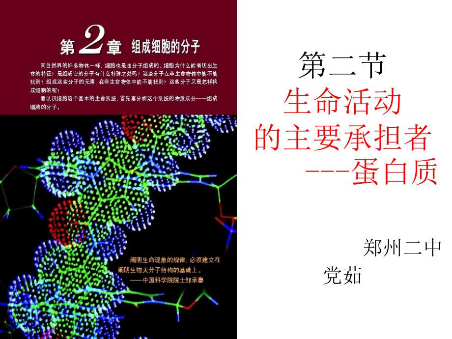 医学课件第二节生命活动的主要承担者蛋白质郑州二中党茹_第1页