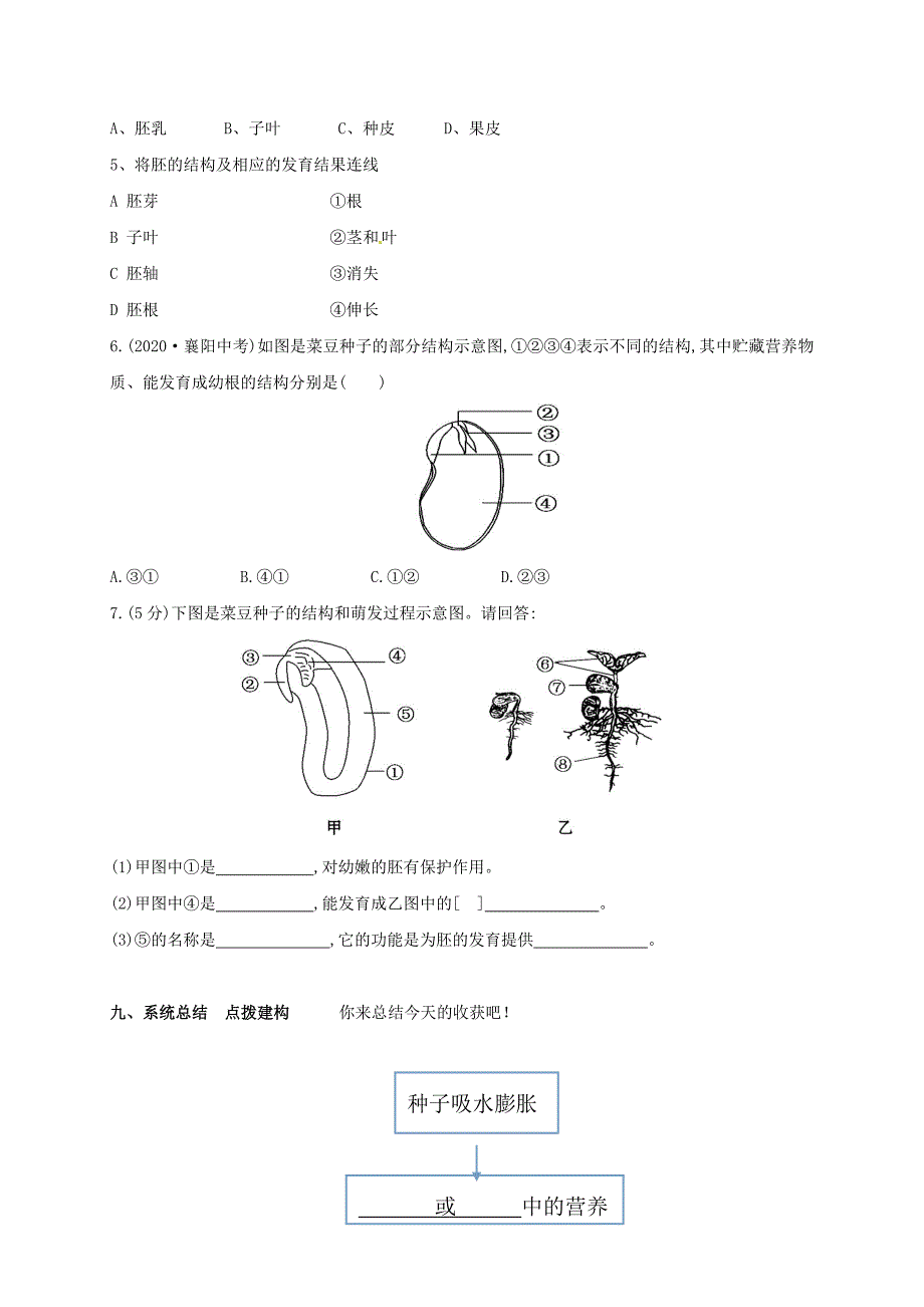 山东省郓城县杨庄集镇初级中学八年级生物上册4.1.4种子的萌发第2课时学案无答案新版济南版_第4页