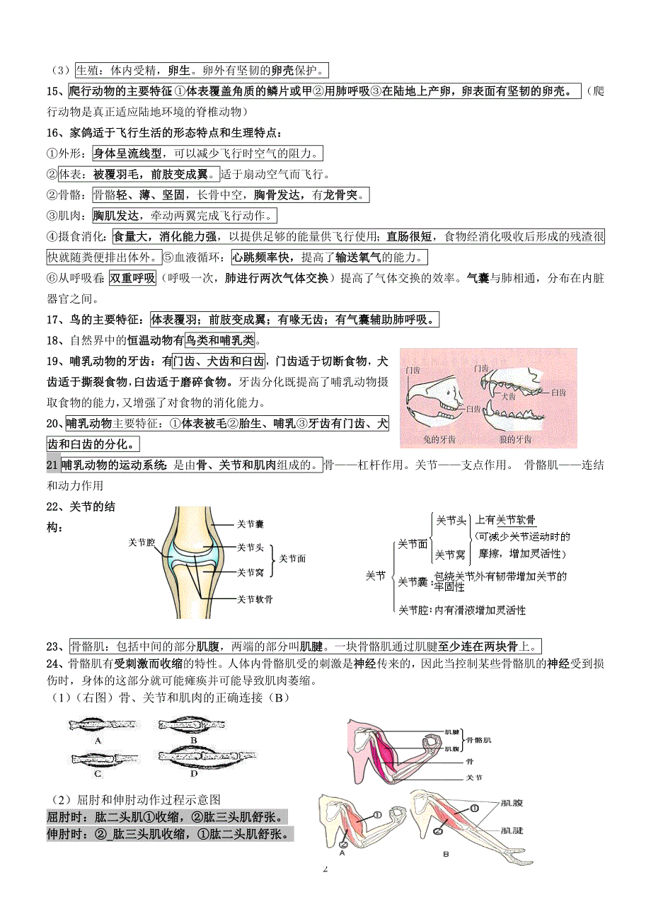 新人教版八年级上册生物复习提纲-_第2页