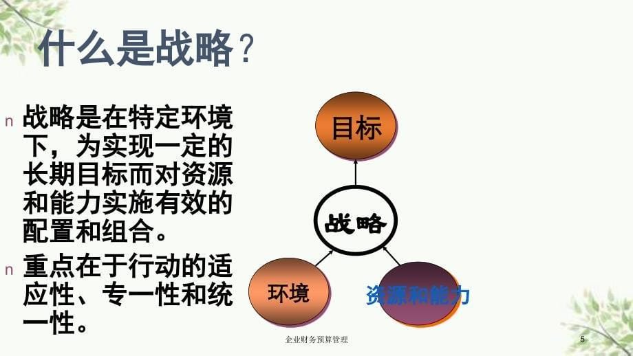 企业财务预算管理课件_第5页