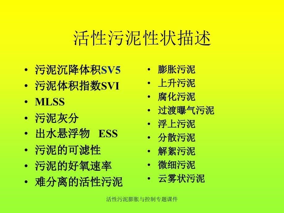 活性污泥膨胀与控制专题课件_第5页