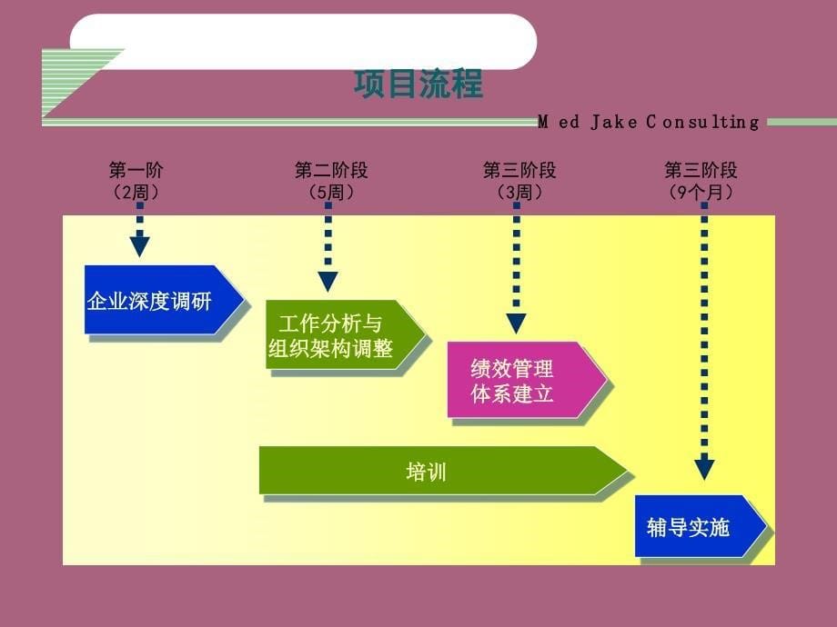 XX有限公司绩效管理咨询项目建议书ppt课件_第5页